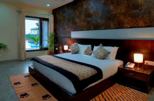 pg3_8Ckek4-e1670320232816-pyrbthl9qof2rw2pxrktd9stx3t325a87oago6149w